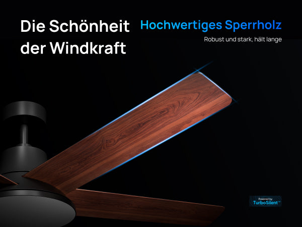 Die Schönheit der Windkraft