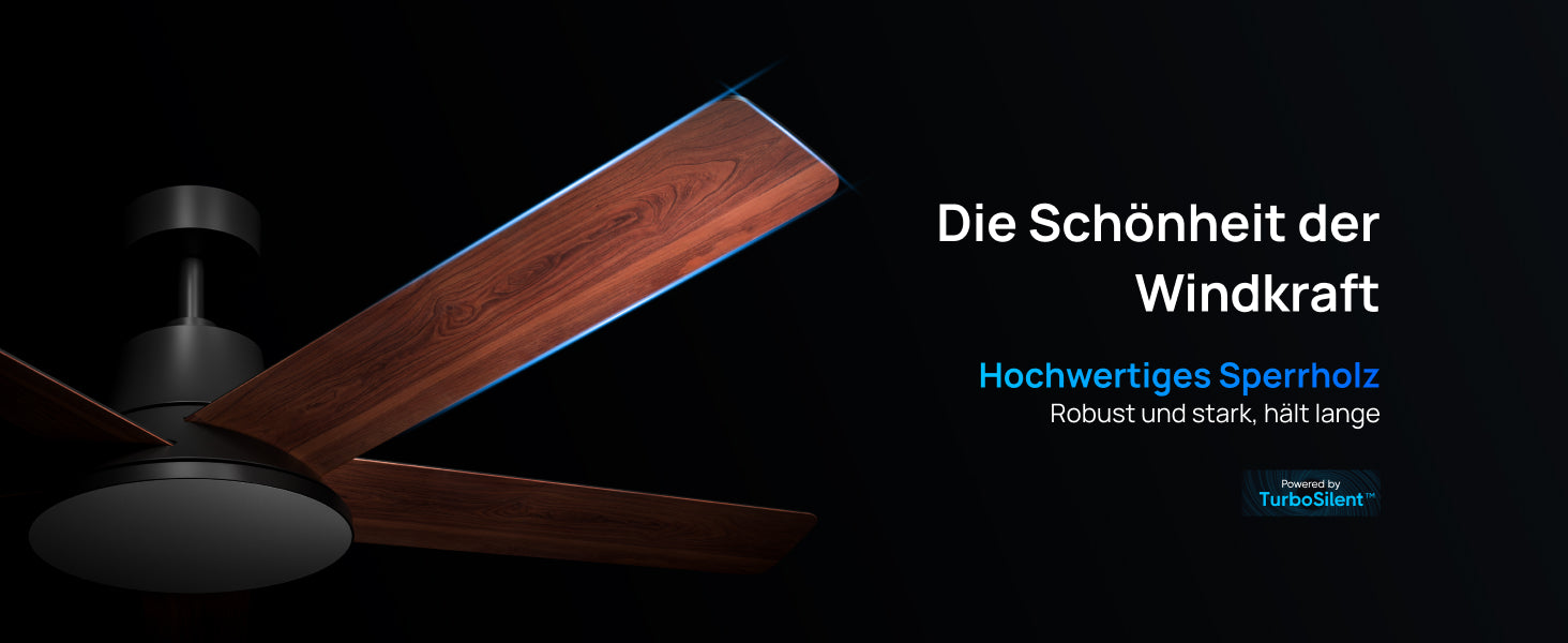 Die Schönheit der Windkraft