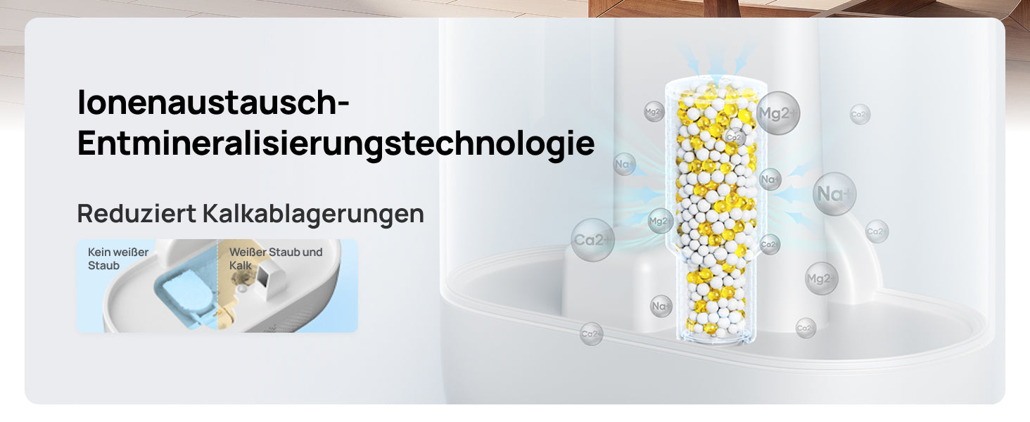 lonenaustausch-Entmineralisierungstechnologie